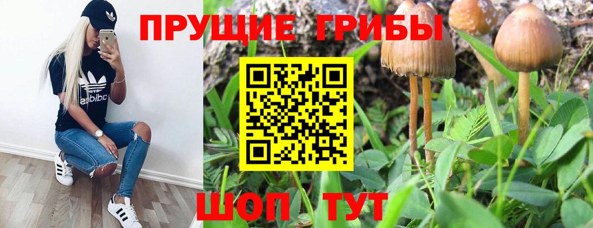 Тихвин  Галлюциногенные грибы GOLDEN TEACHER  Вход с VPN 